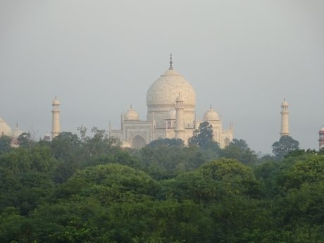 Photo 201
